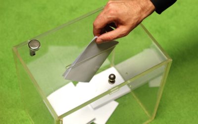 Hervorragendes Ergebnis für Leimens GRÜNE bei der Kreistagswahl